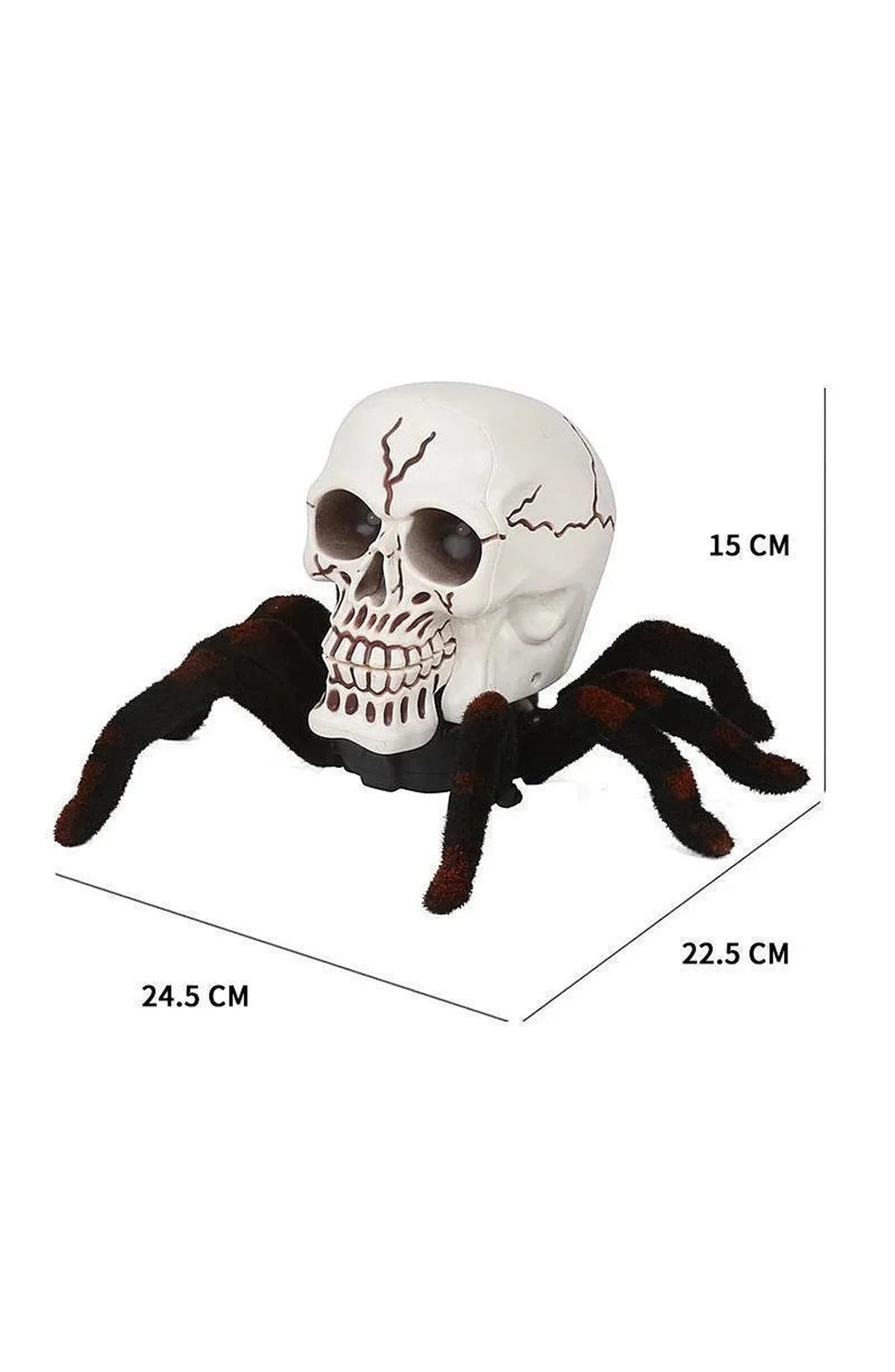 Remote Control Skull Spider