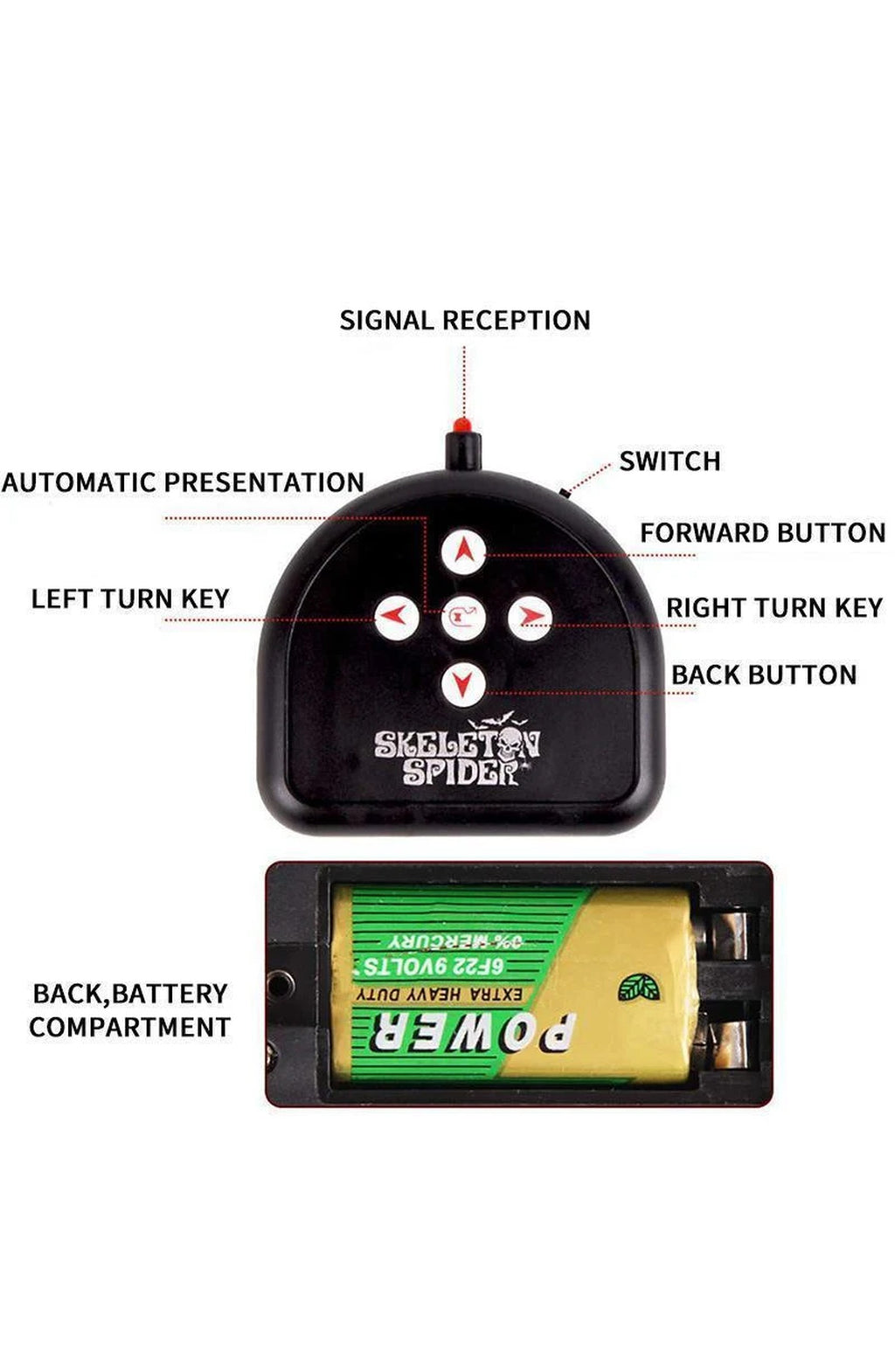 Remote Control Skull Spider