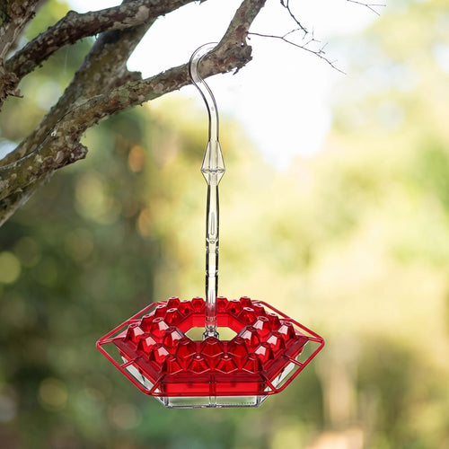 Ant Proof Hummingbird Feeder