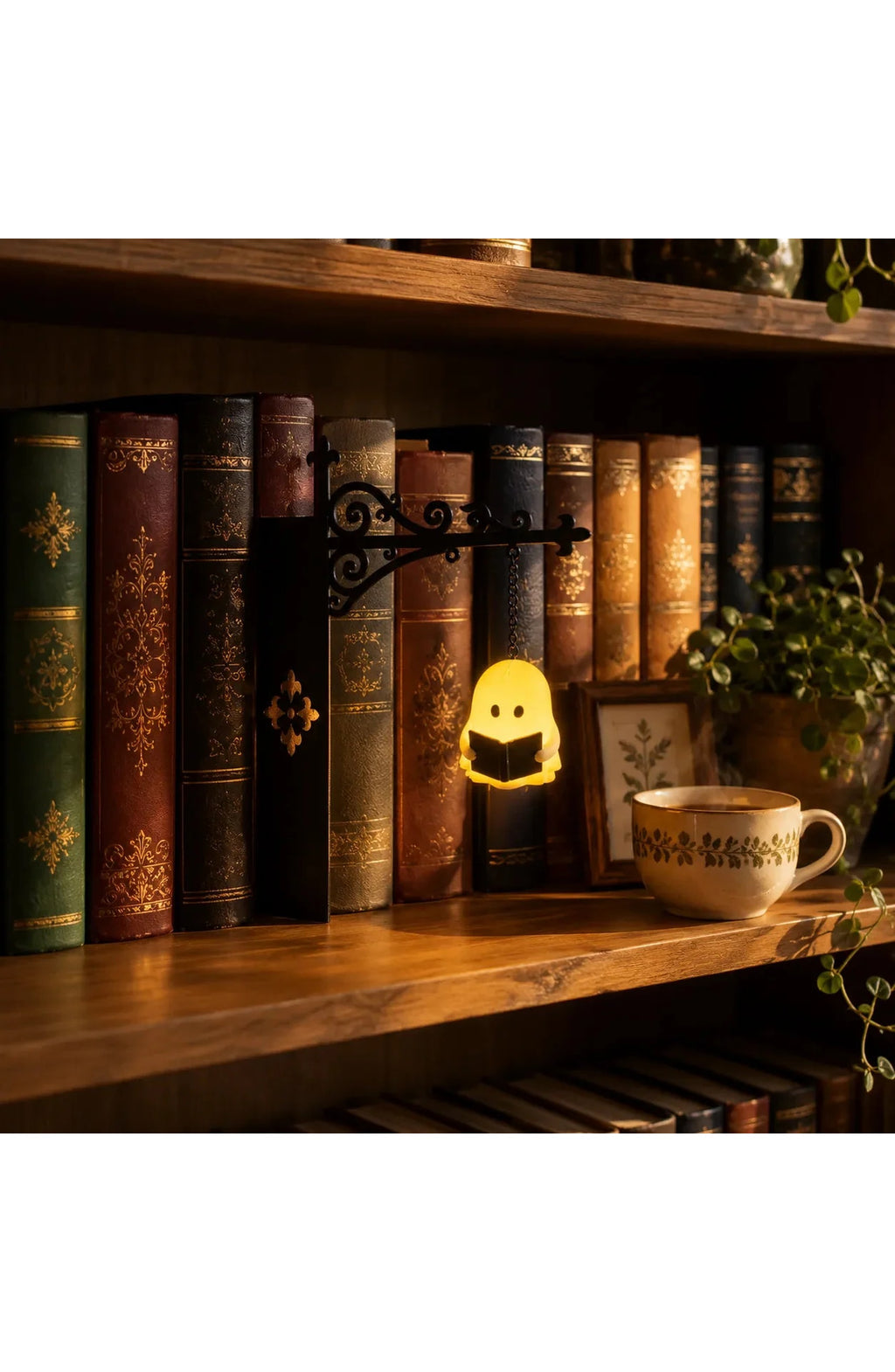 Bookshelf Ghost Lantern