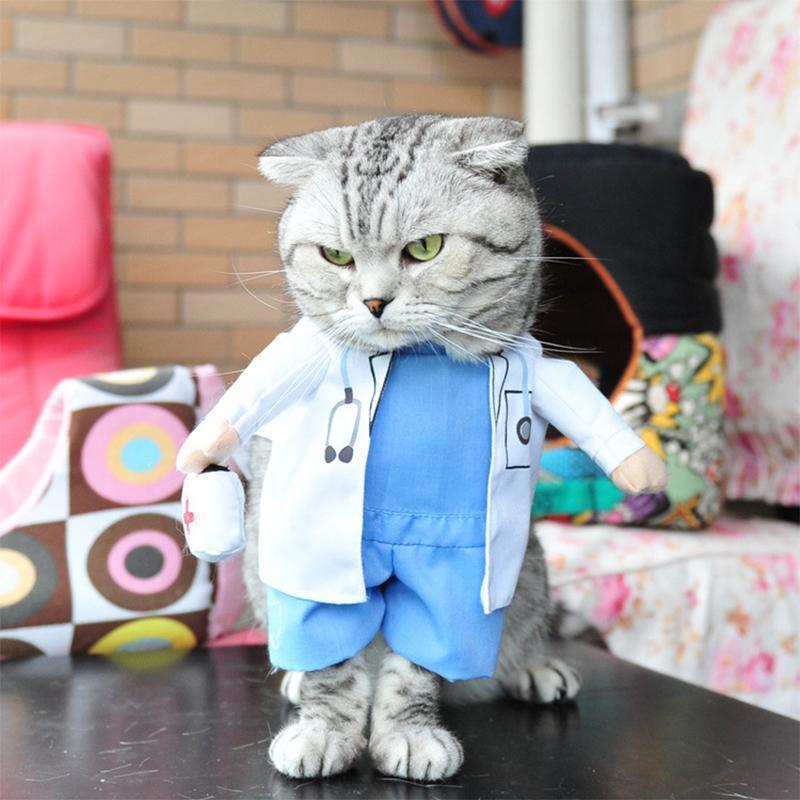 Funny Pet Costume in 12 Character Styles - Doctor