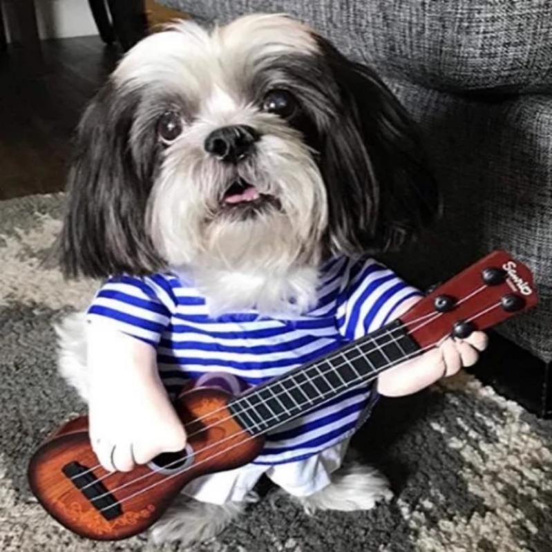 Funny Pet Costume in 12 Character Styles - Guitarist
