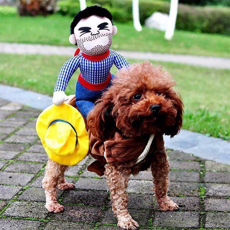 Funny Pet Costume in 12 Character Styles - Horse Rider