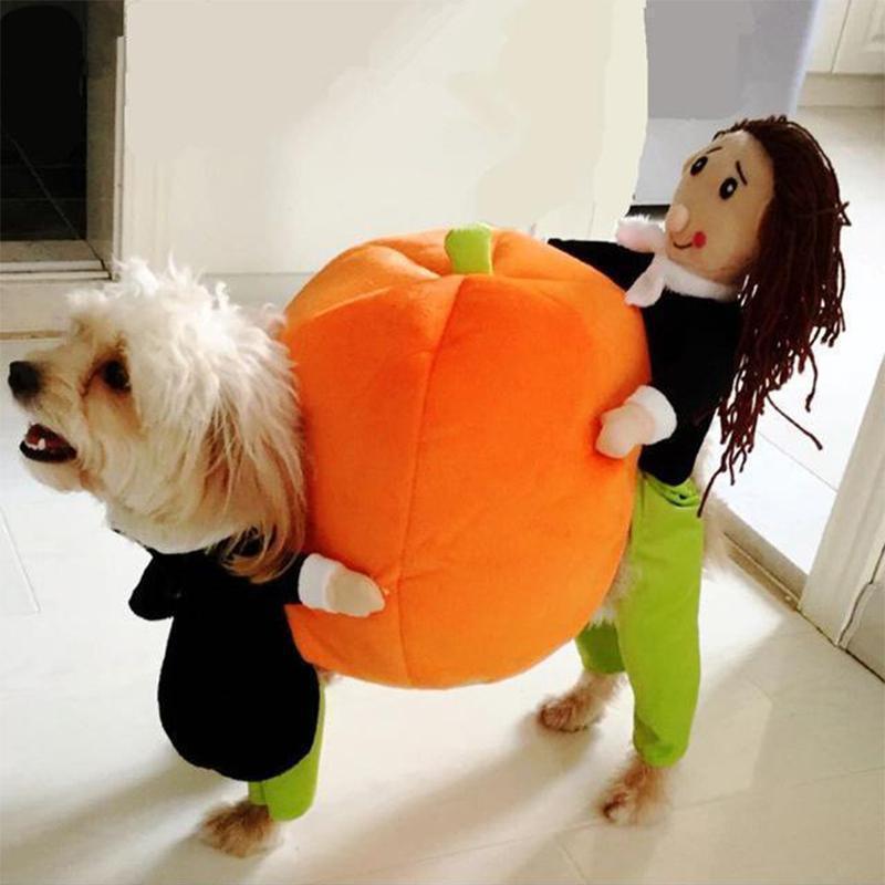 Funny Pet Costume in 12 Character Styles - Pumpkin Suit