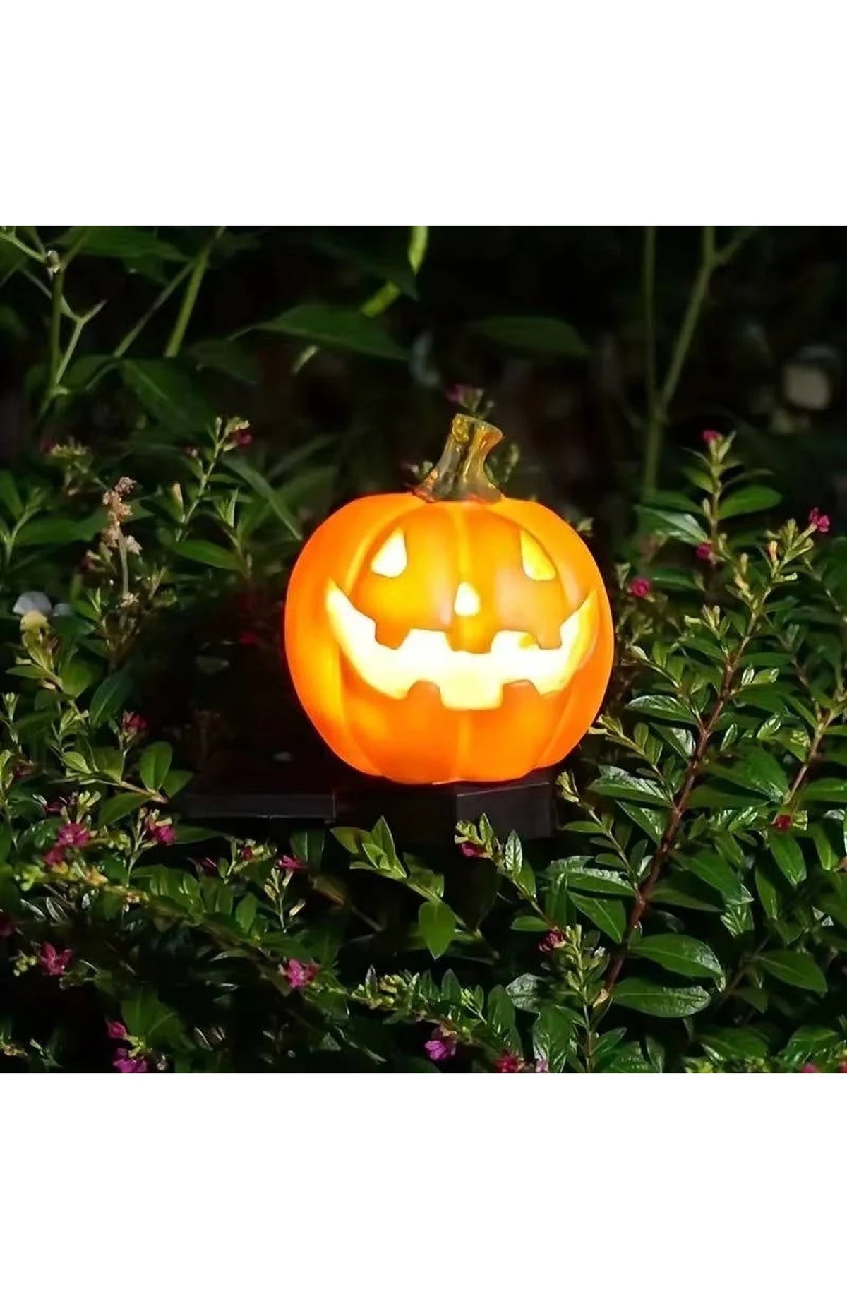 Halloween Pumpkin Pathway Lights