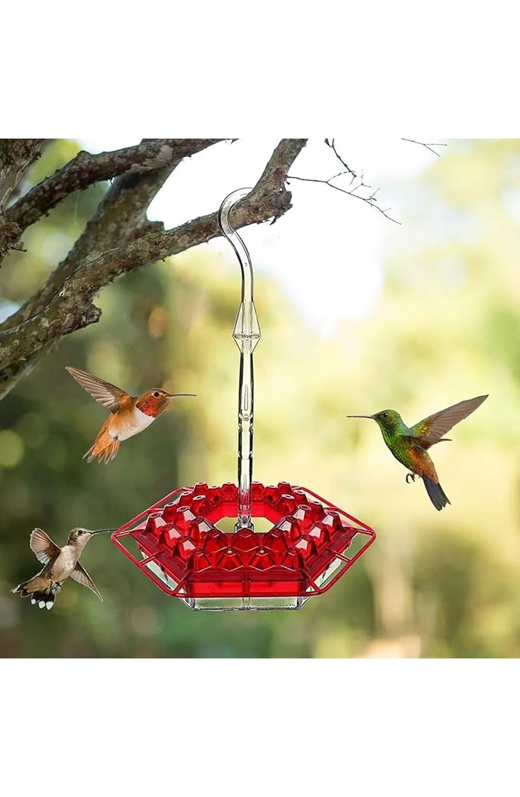 Ant Proof Hummingbird Feeder, view 2