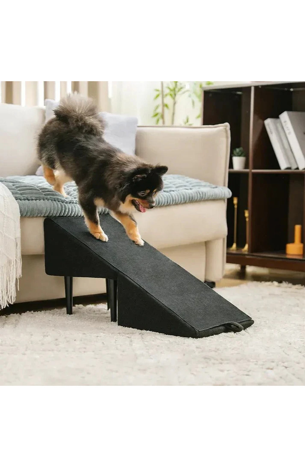 Convertible Dog Ramp and Step Stool, view 2