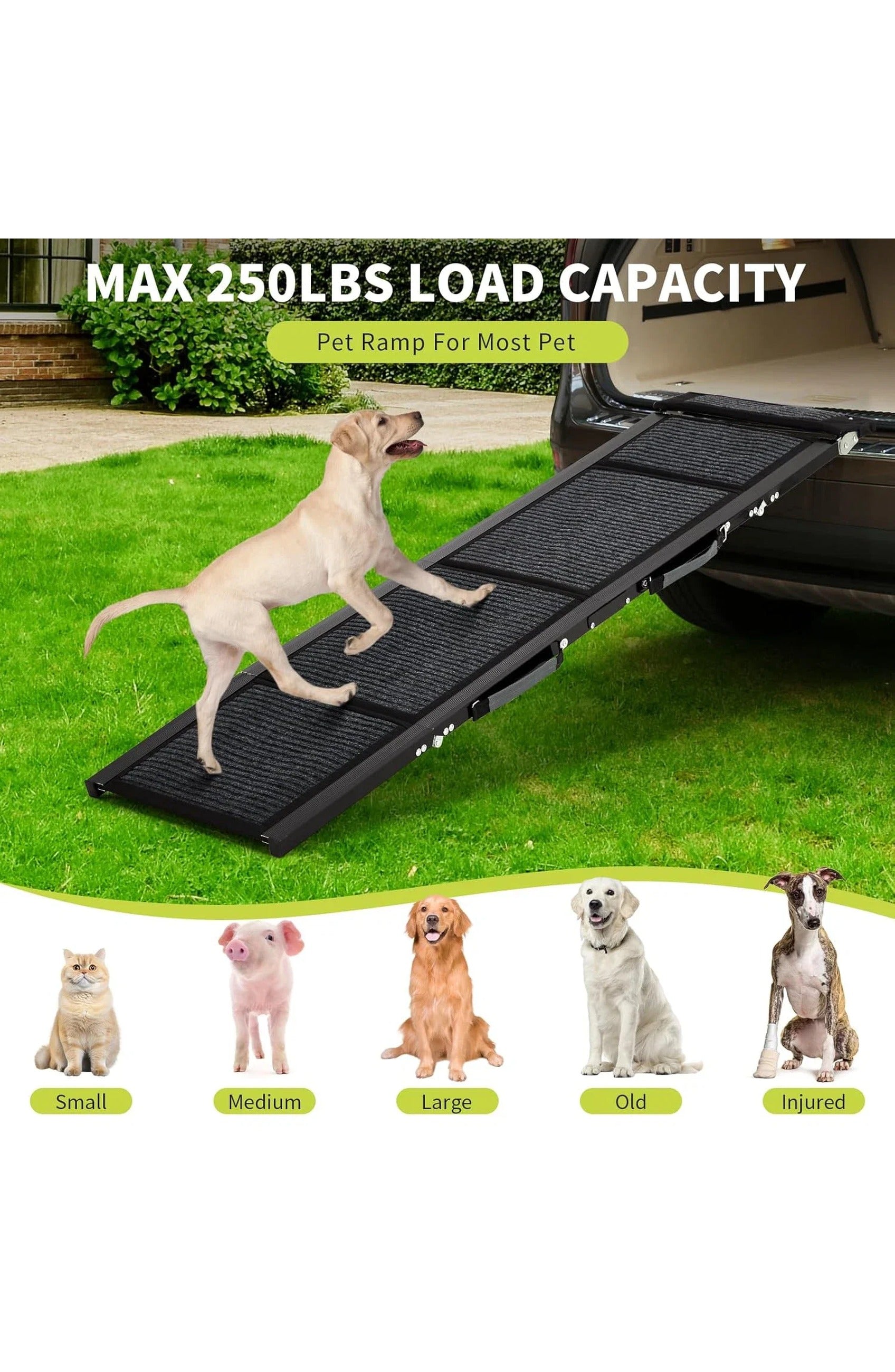 Folding Dog Ramp for Bed and Car, view 3