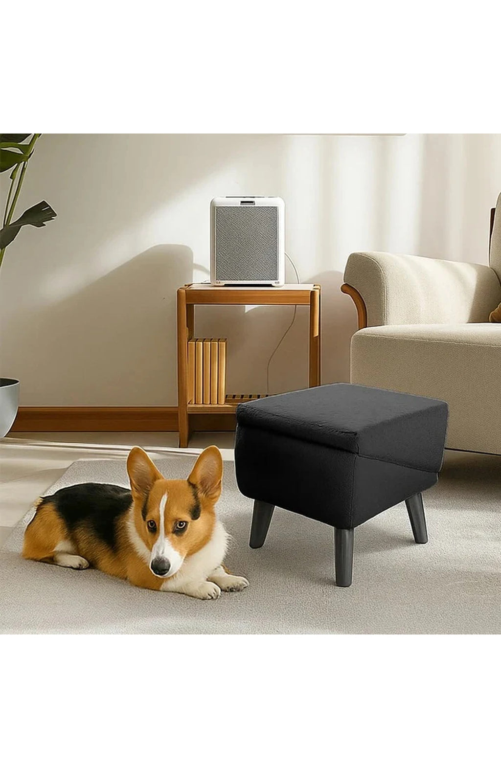 Convertible Dog Ramp and Step Stool, view 4