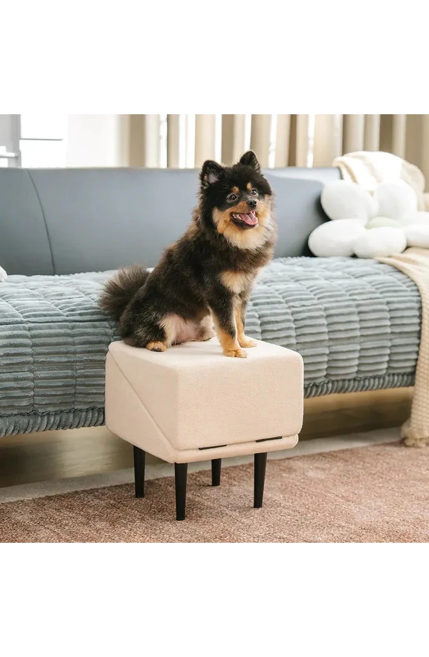 Convertible Dog Ramp and Step Stool, view 6