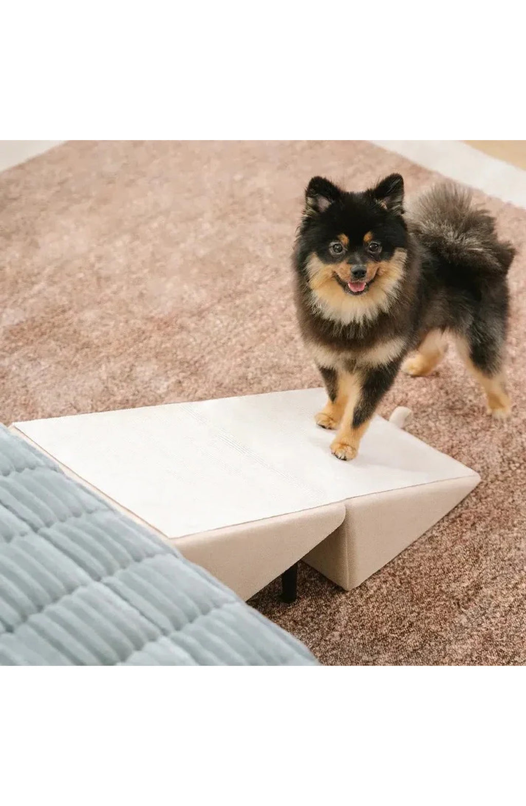 Convertible Dog Ramp and Step Stool, view 7