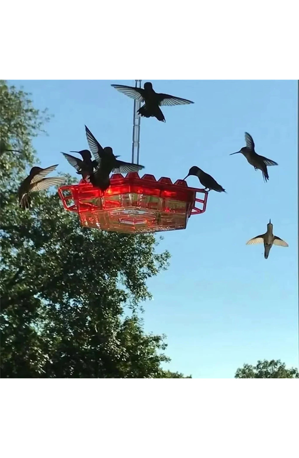 Ant Proof Hummingbird Feeder, view 8