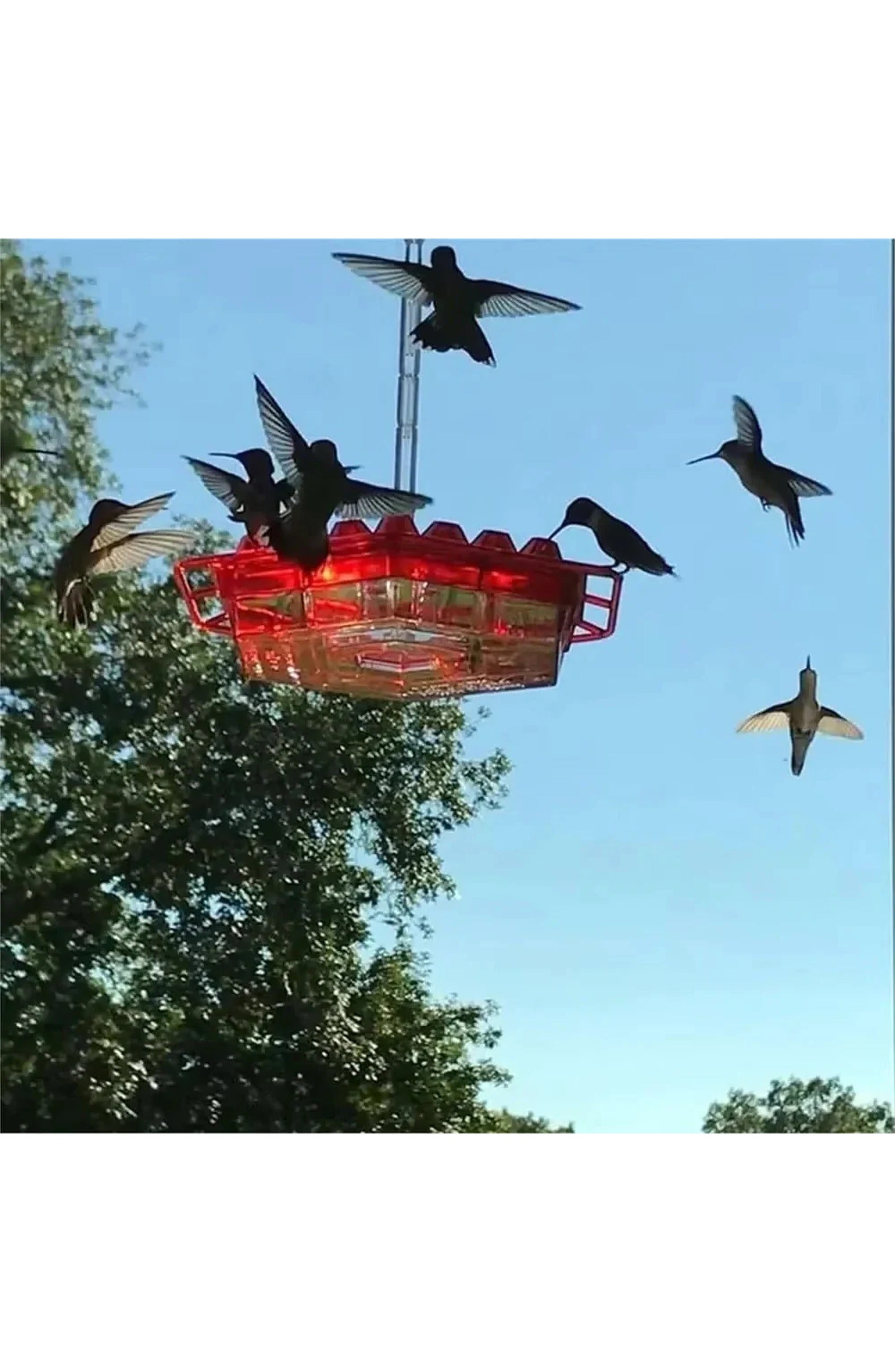 Ant Proof Hummingbird Feeder, view 8