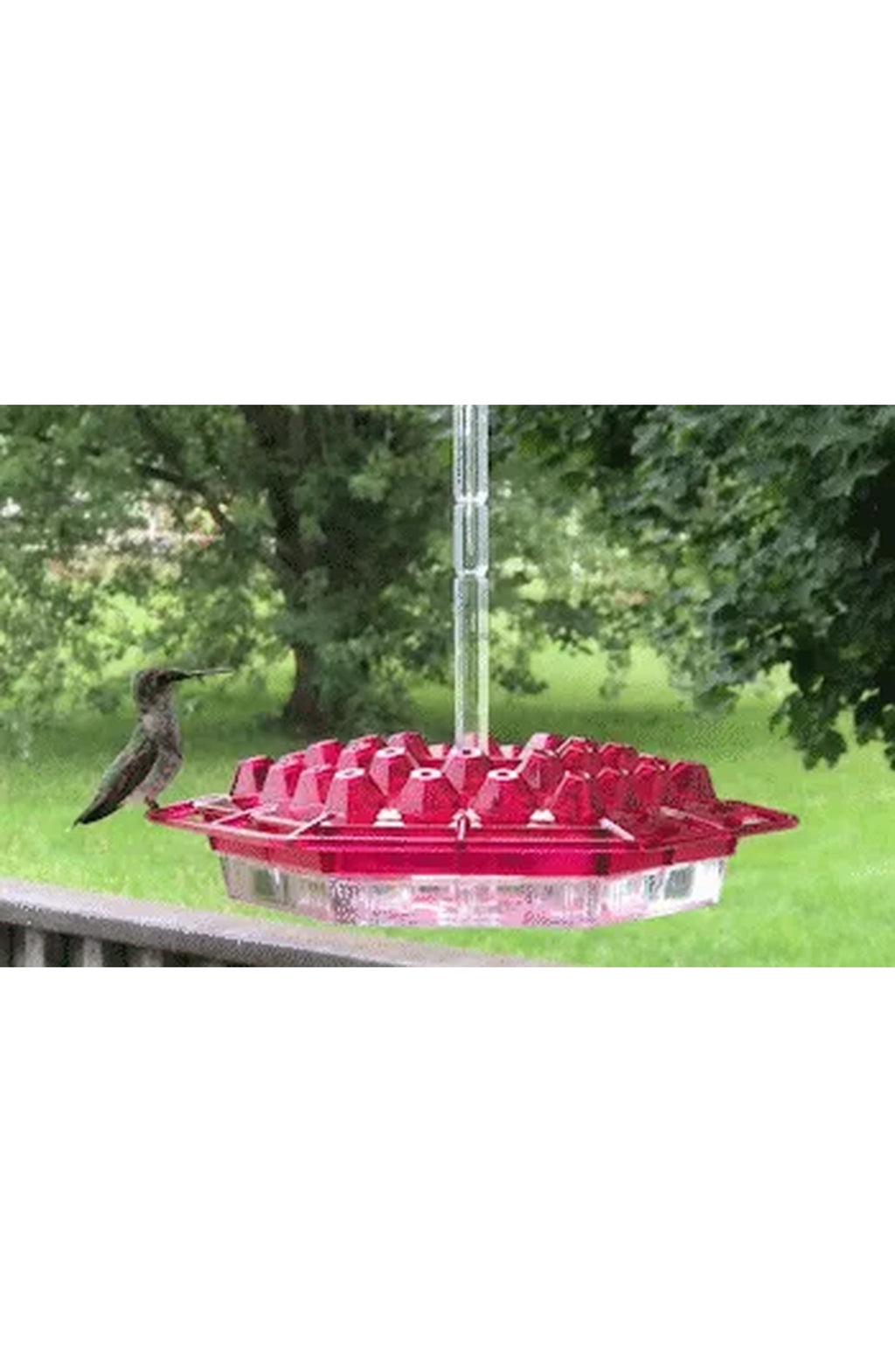 Ant Proof Hummingbird Feeder, view 10