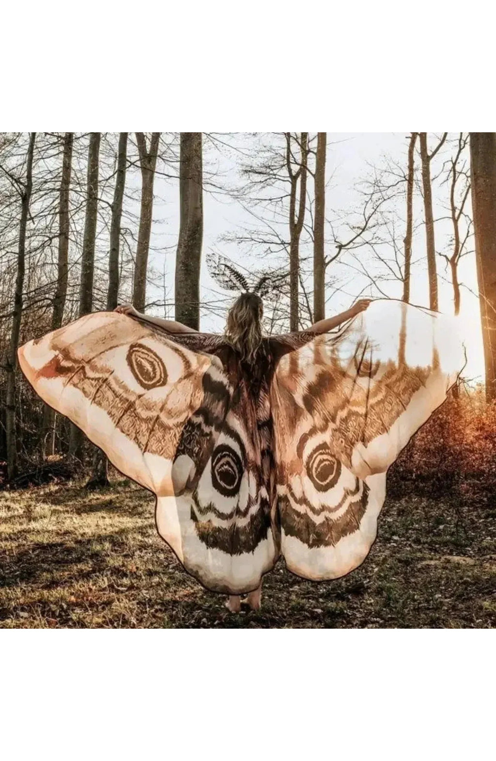 Moth Wing Halloween Cape
