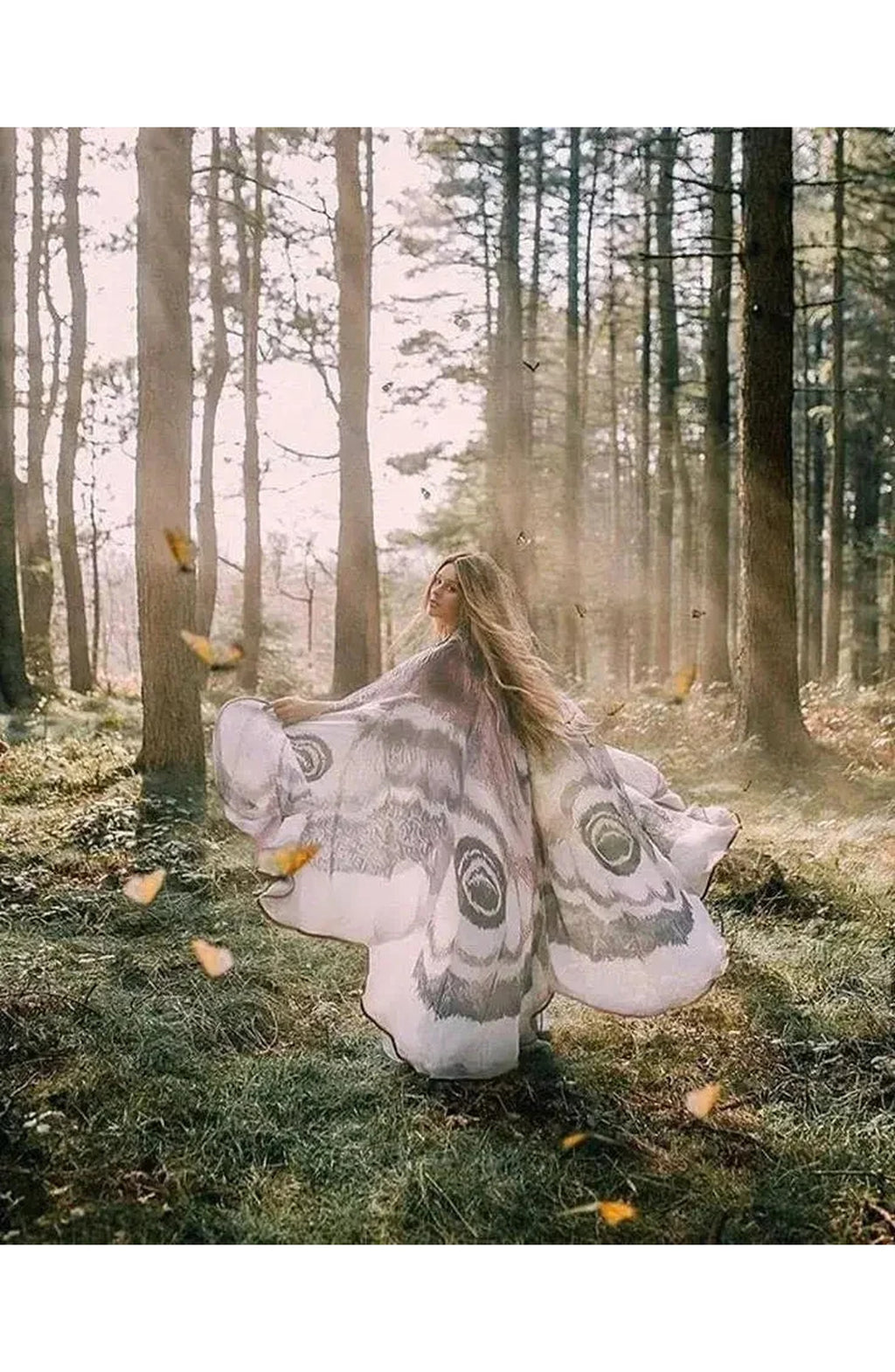 Moth Wing Halloween Cape