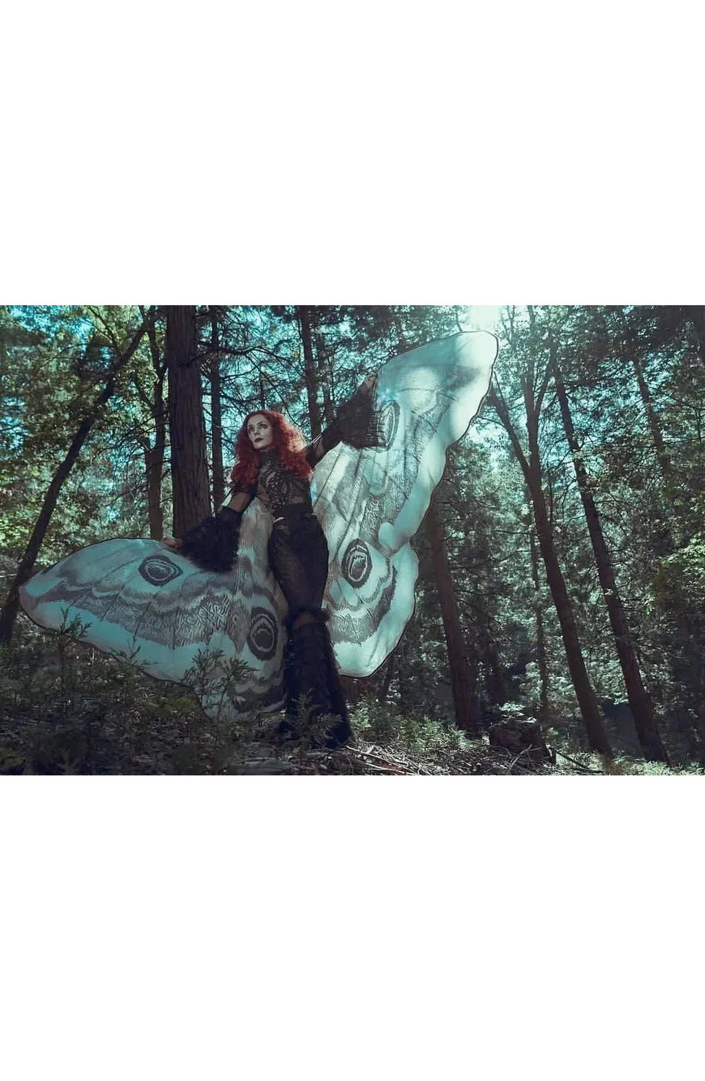 Moth Wing Halloween Cape