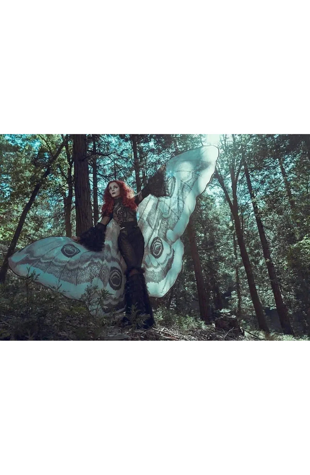 Moth Wing Halloween Cape