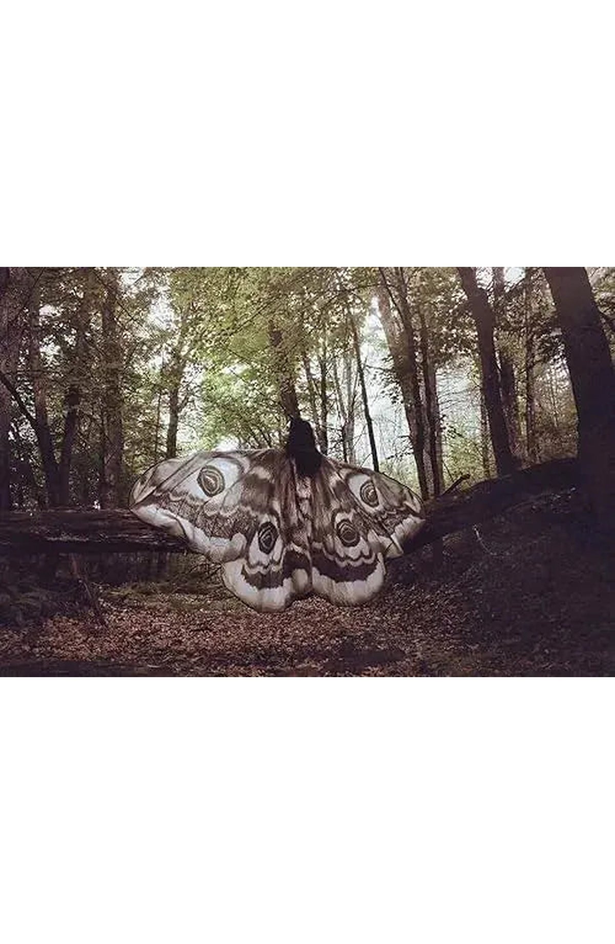 Moth Wing Halloween Cape