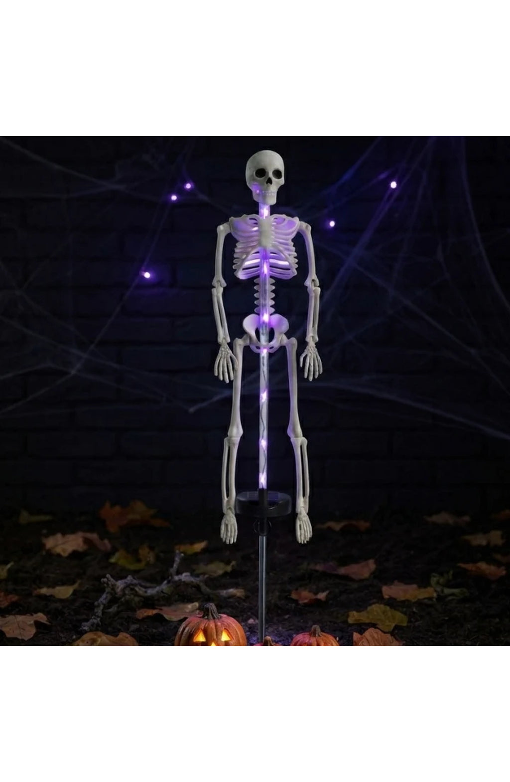 Solar Skeleton Stake Light - Purple