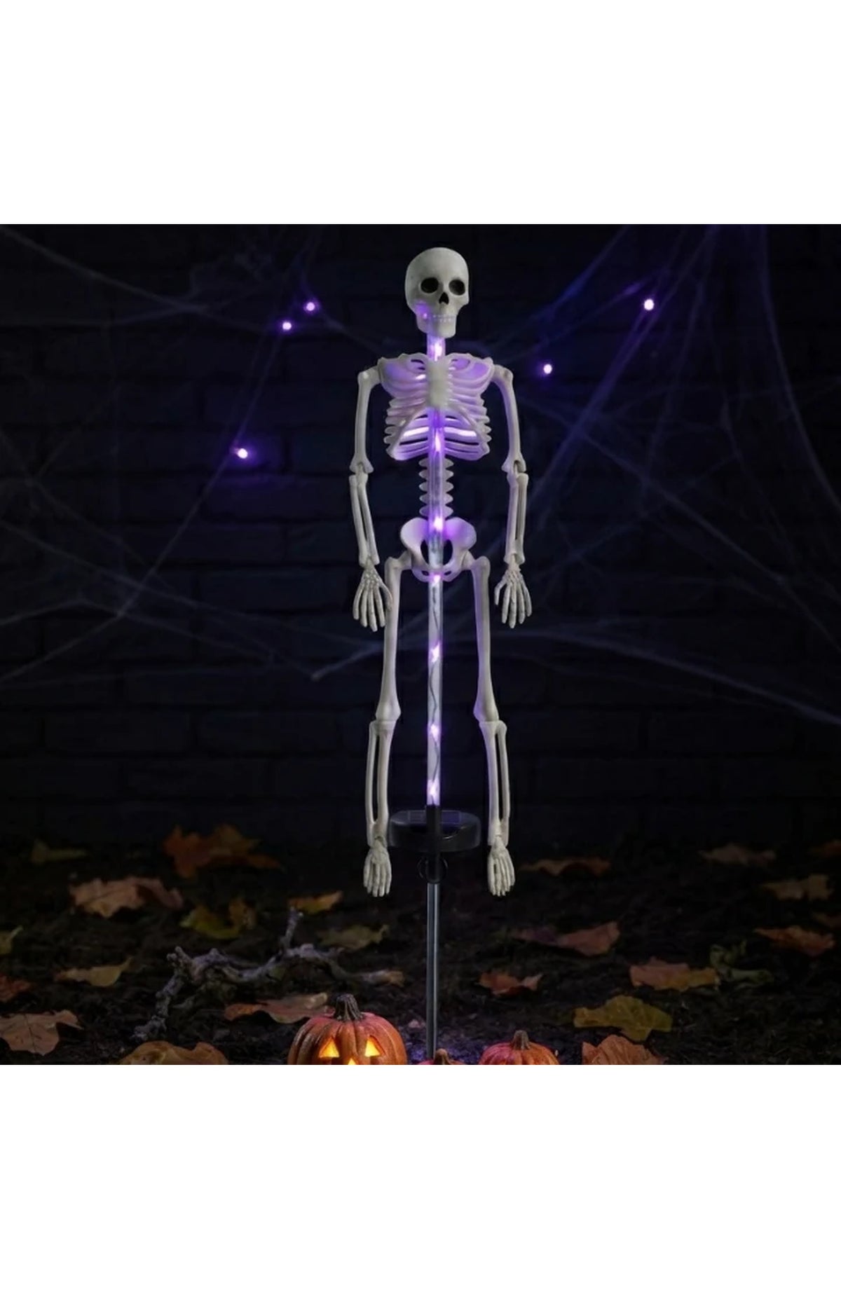 Solar Skeleton Stake Light - Purple