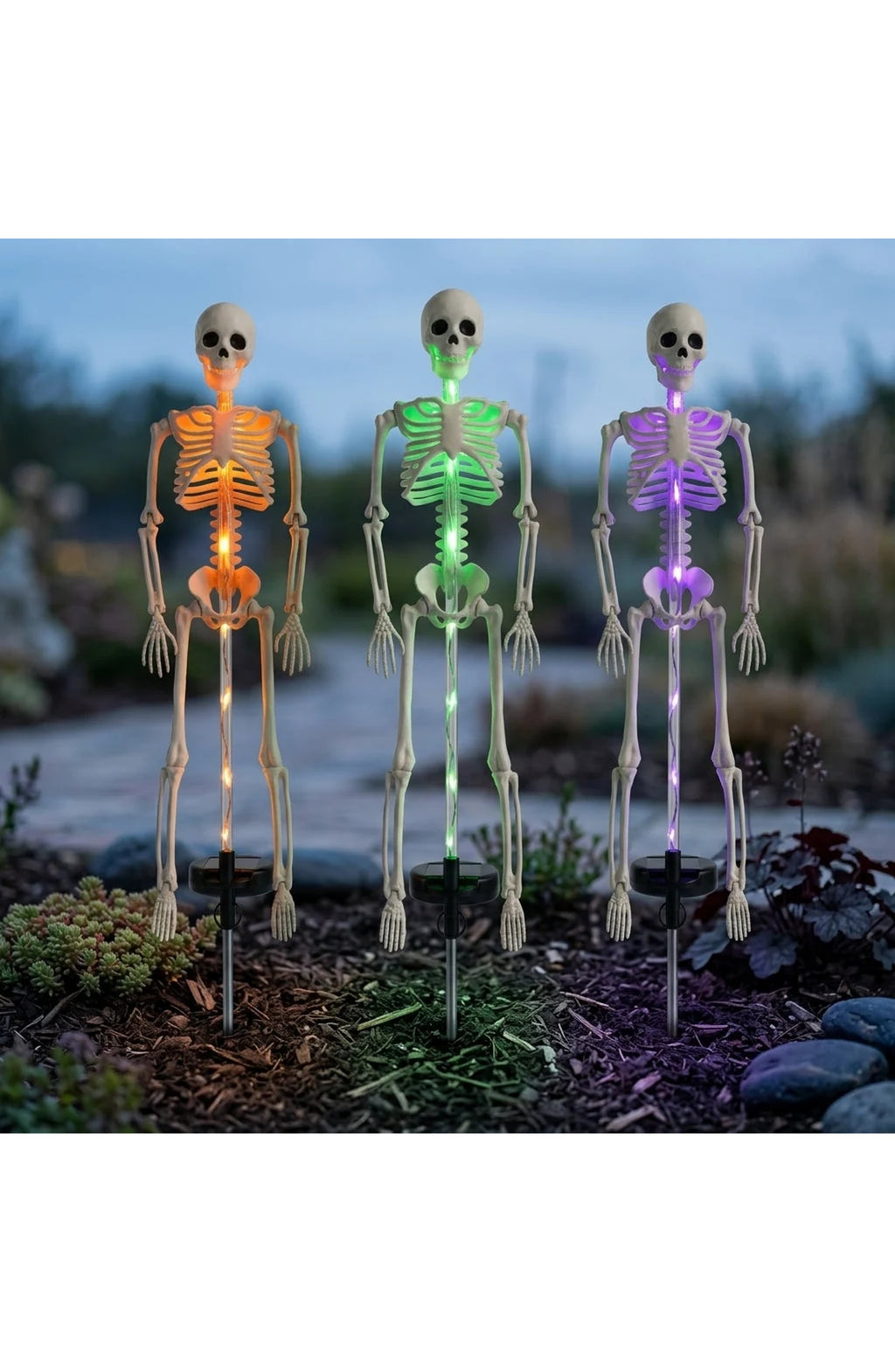 Solar Skeleton Stake Light