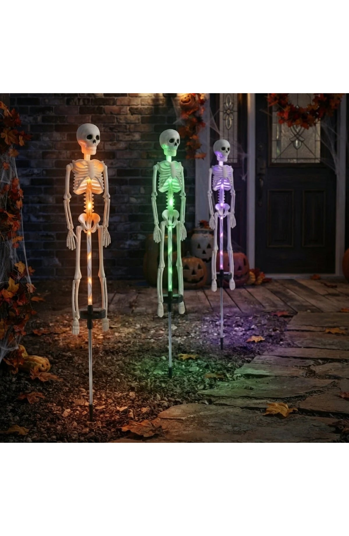 Solar Skeleton Stake Light