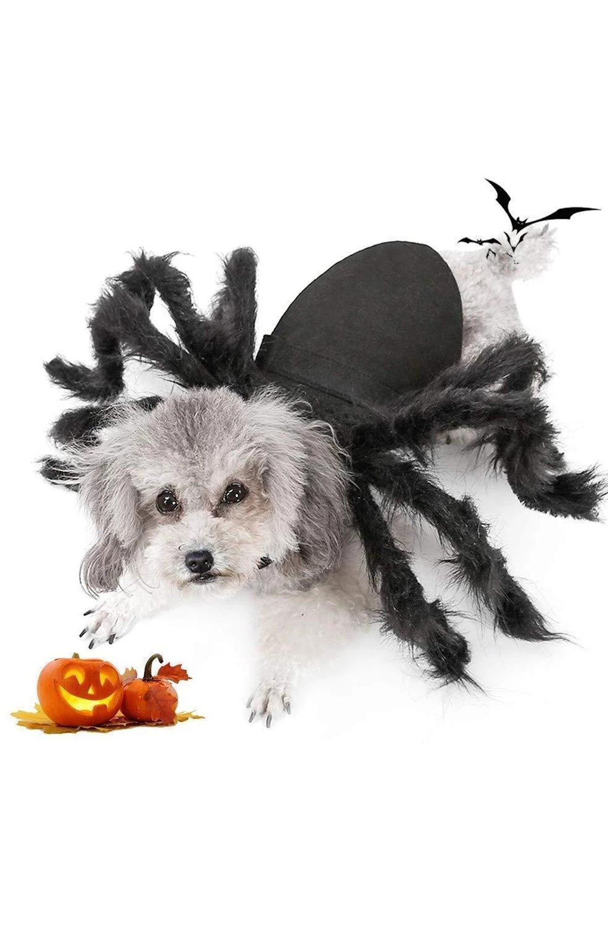 Spider Pet Costume with Plush Legs