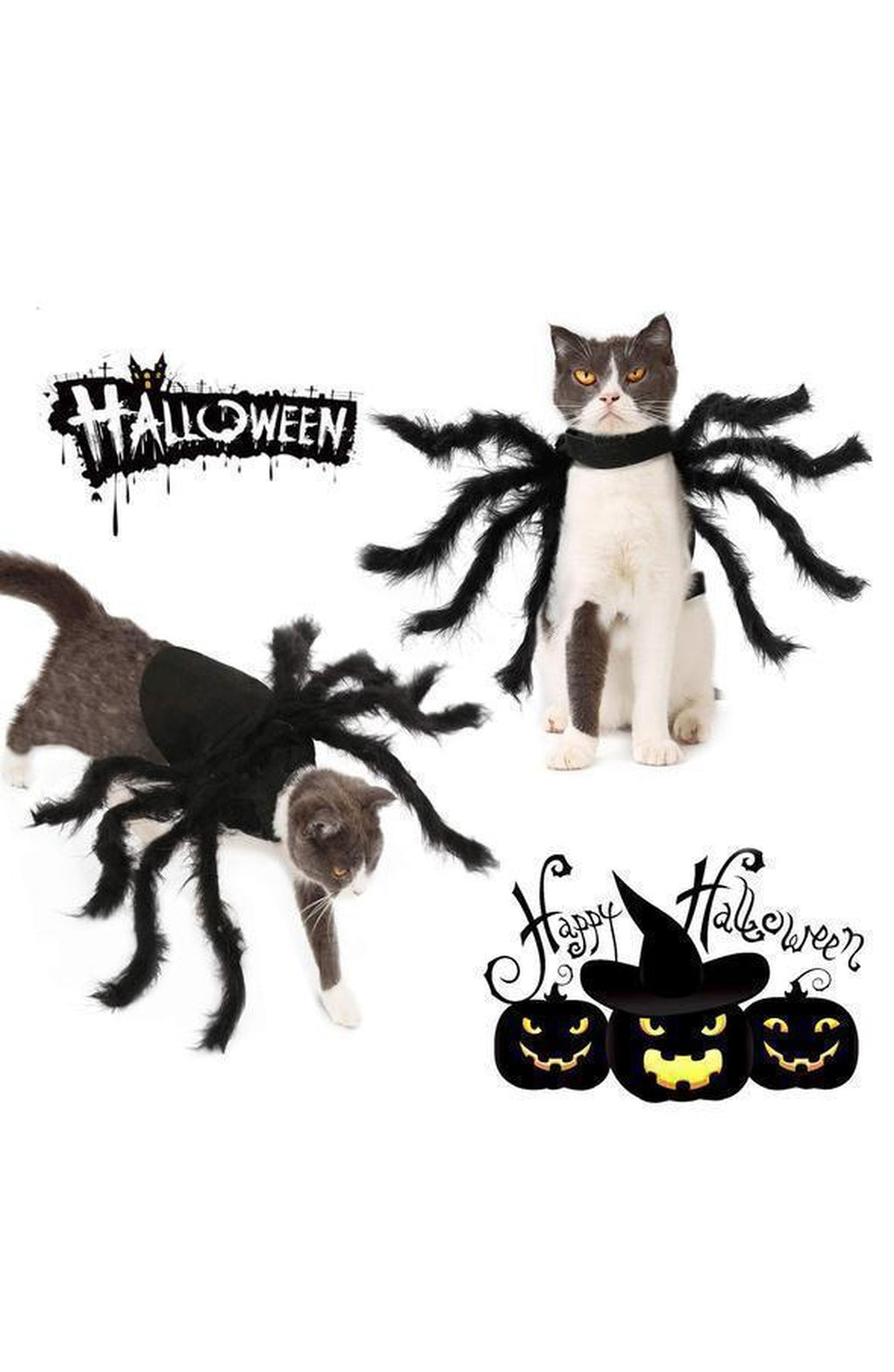 Spider Pet Costume with Plush Legs