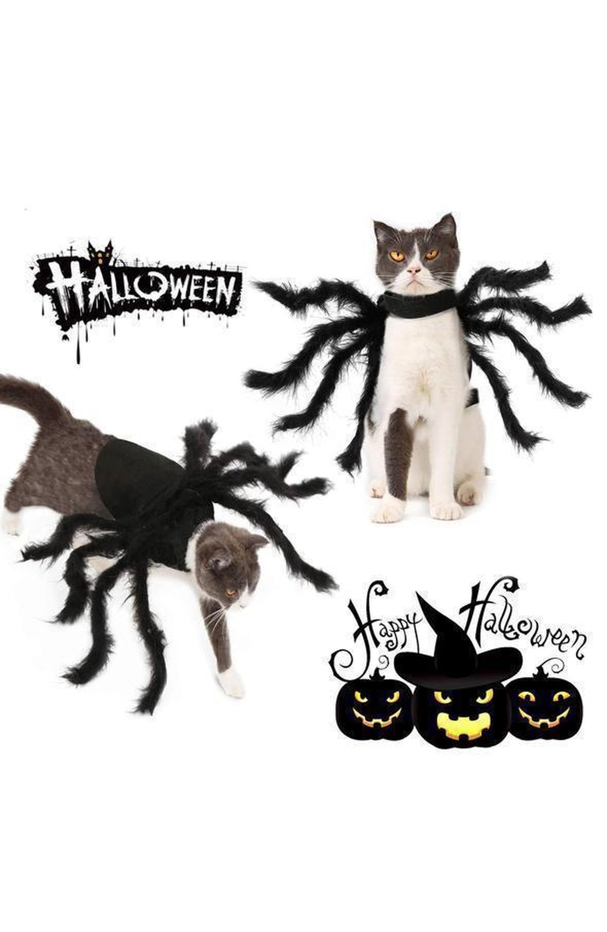 Spider Pet Costume with Plush Legs