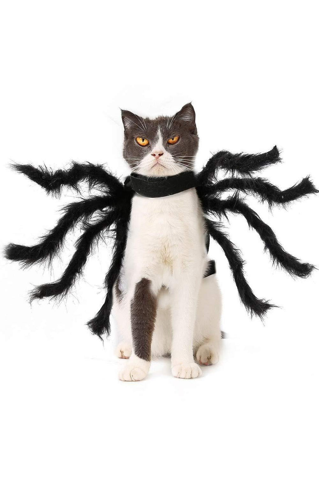 Spider Pet Costume with Plush Legs